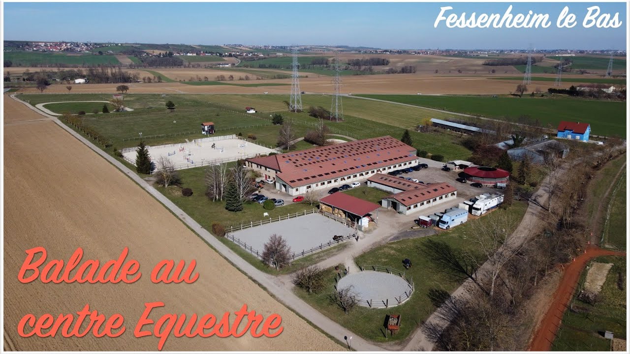 BALADE AU CENTRE EQUESTRE - FESSENHEIM LE BAS - DRONE ALSACE - MARS 2021 - 4K