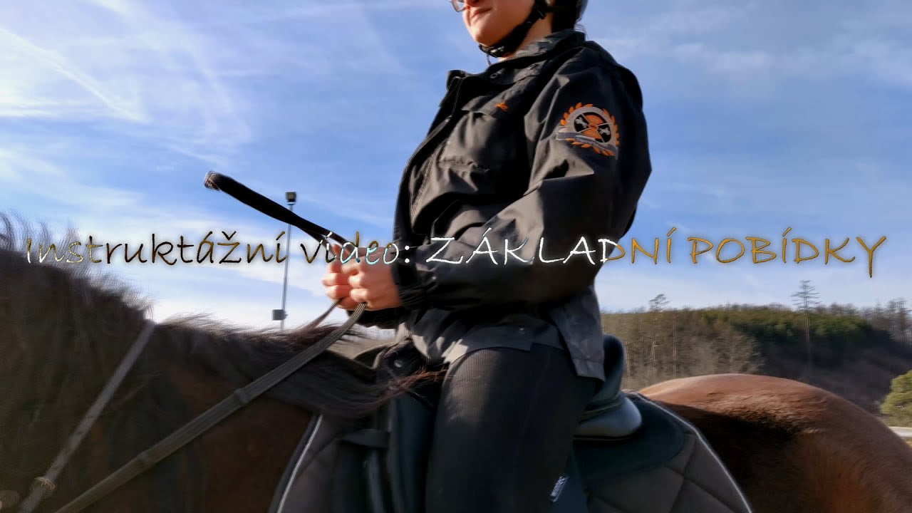 Instruktážní video: ZÁKLADNÍ POBÍDKY