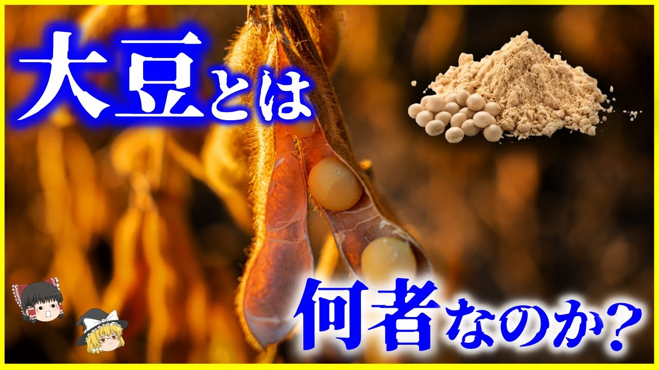 【ゆっくり解説】自然界には存在しない人工植物!?「大豆」とは何者なのか？を解説/日本人は最古級の「大豆利用民族」だった？生食は毒