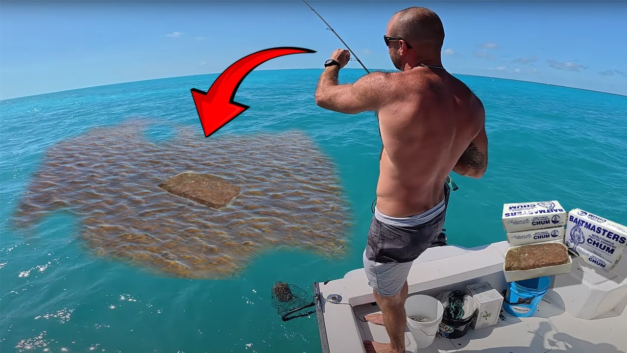What will 50lb of chum catch us?! CATCH CLEAN COOK