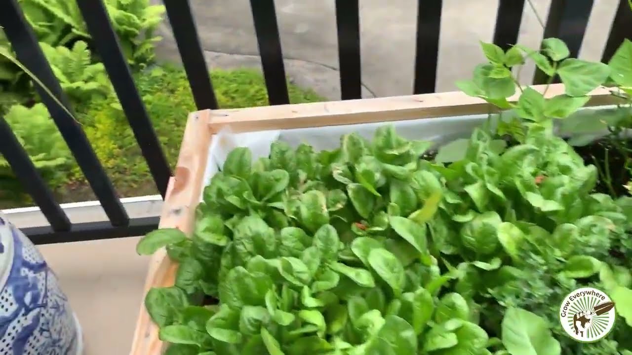 Does Revolution Garden really 