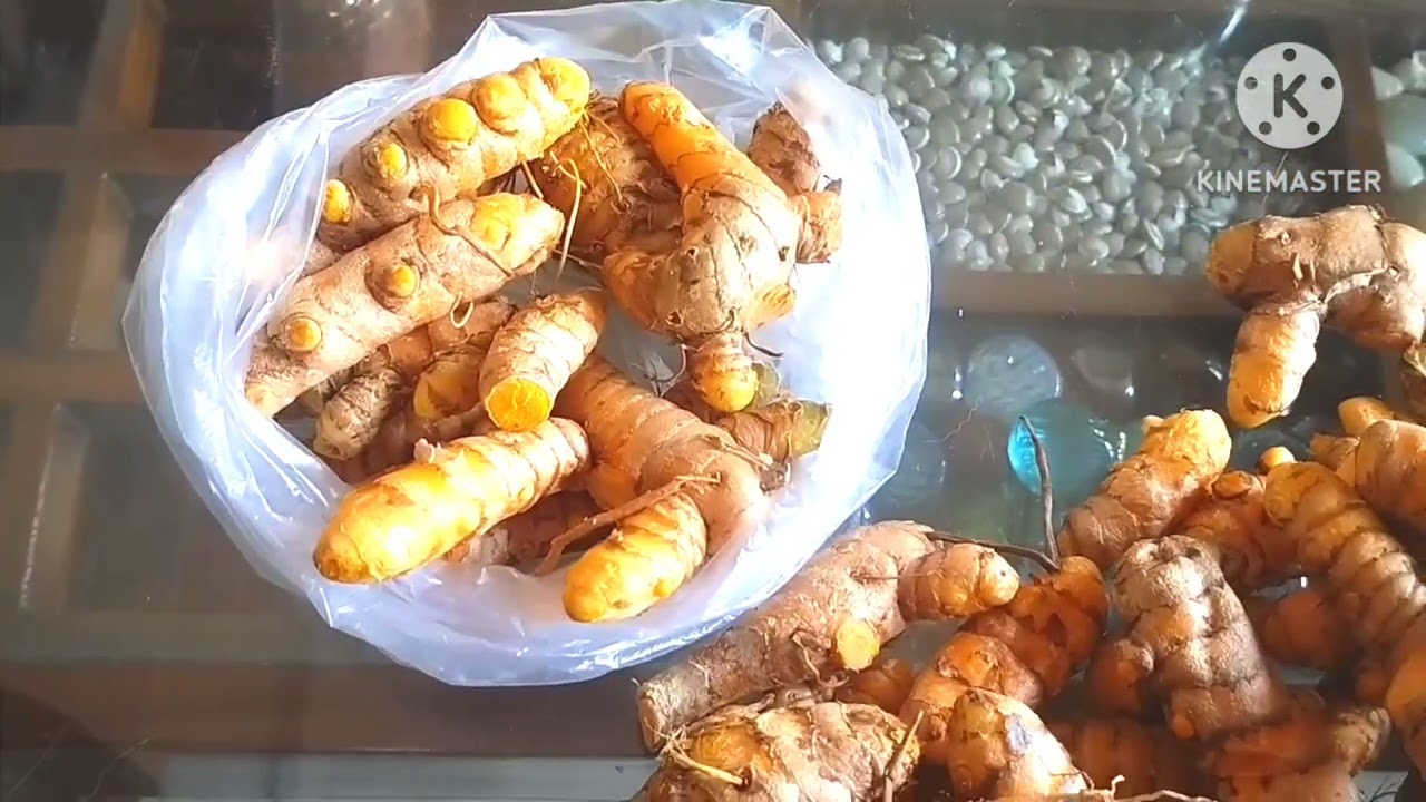 పచ్చి పసుపు (Turmeric Rhyzome To Turmeric Powder) నుండి పసుపు తయారీ