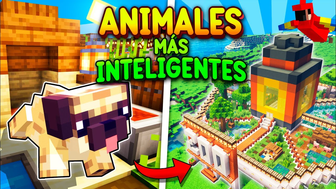 Constru&iacute; un ZOOL&Oacute;GICO con los ANIMALES m&aacute;s INTELIGENTES del MUNDO 🐶🦜