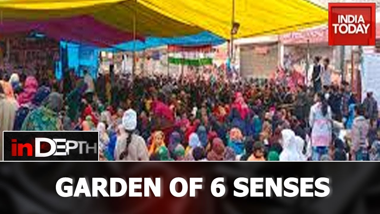 Shaheen Bagh: One Protest, Many Different Views | In Depth