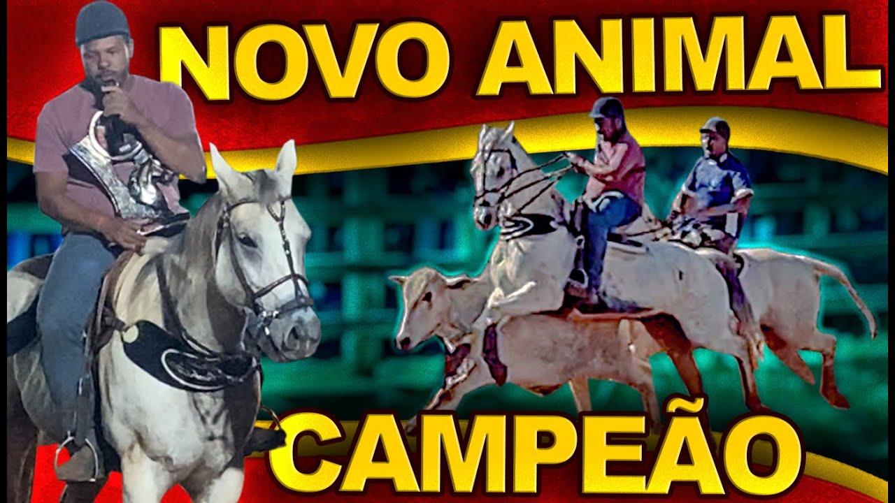 Novo animal e CAMPEÃO PROFISSIONAL