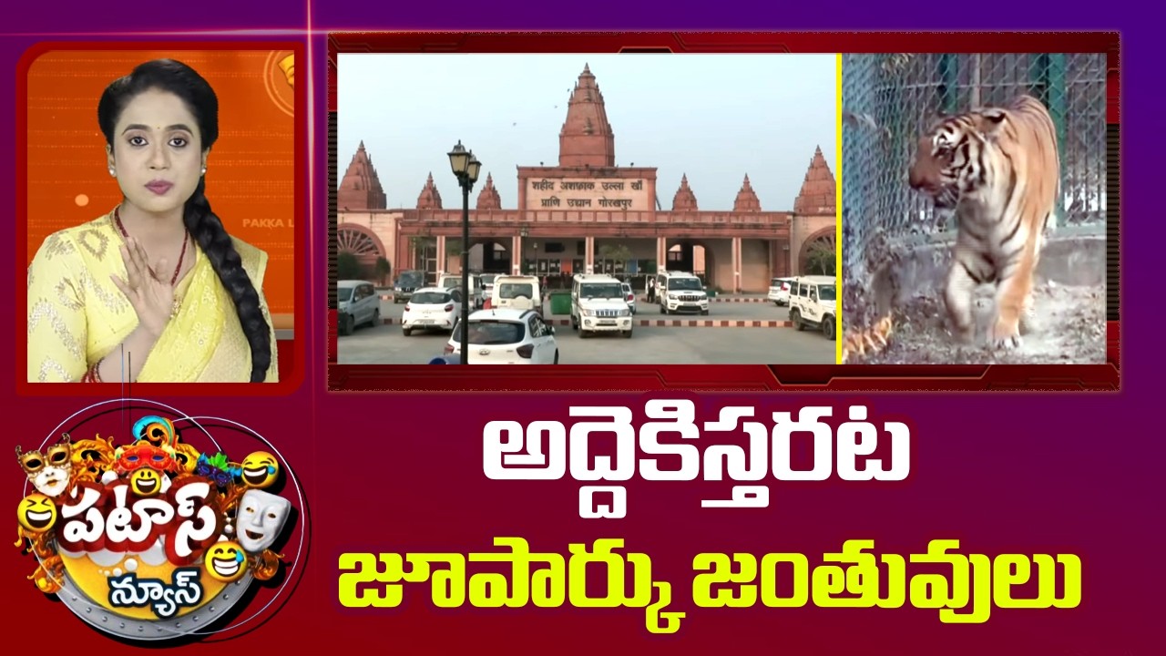 అద్దెకిస్తరట జూపార్కు జంతువులు | Zoo Animals For Rent | Delhi | Patas News | 10TV News