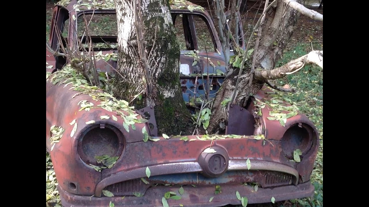 Simca Oldtimer Forest Find