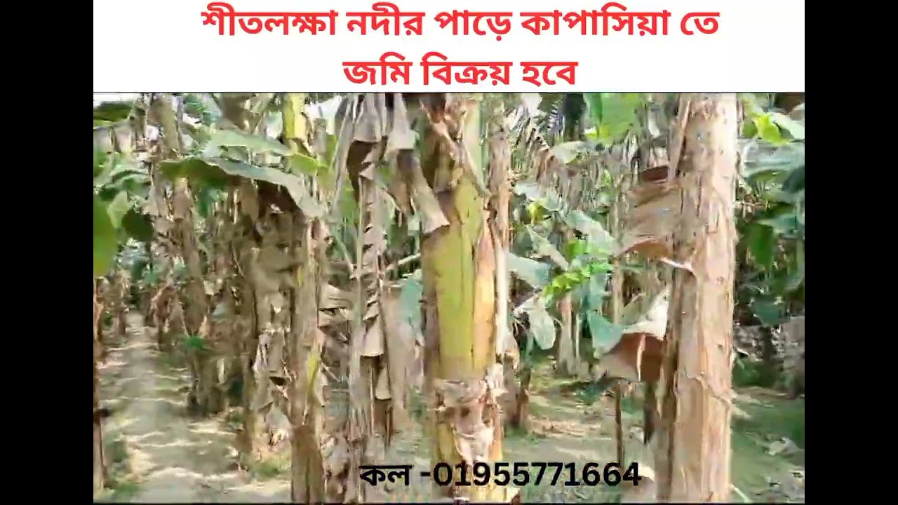 জমি বিক্রয় হবে গাজীপুর কাপাসিয়া।