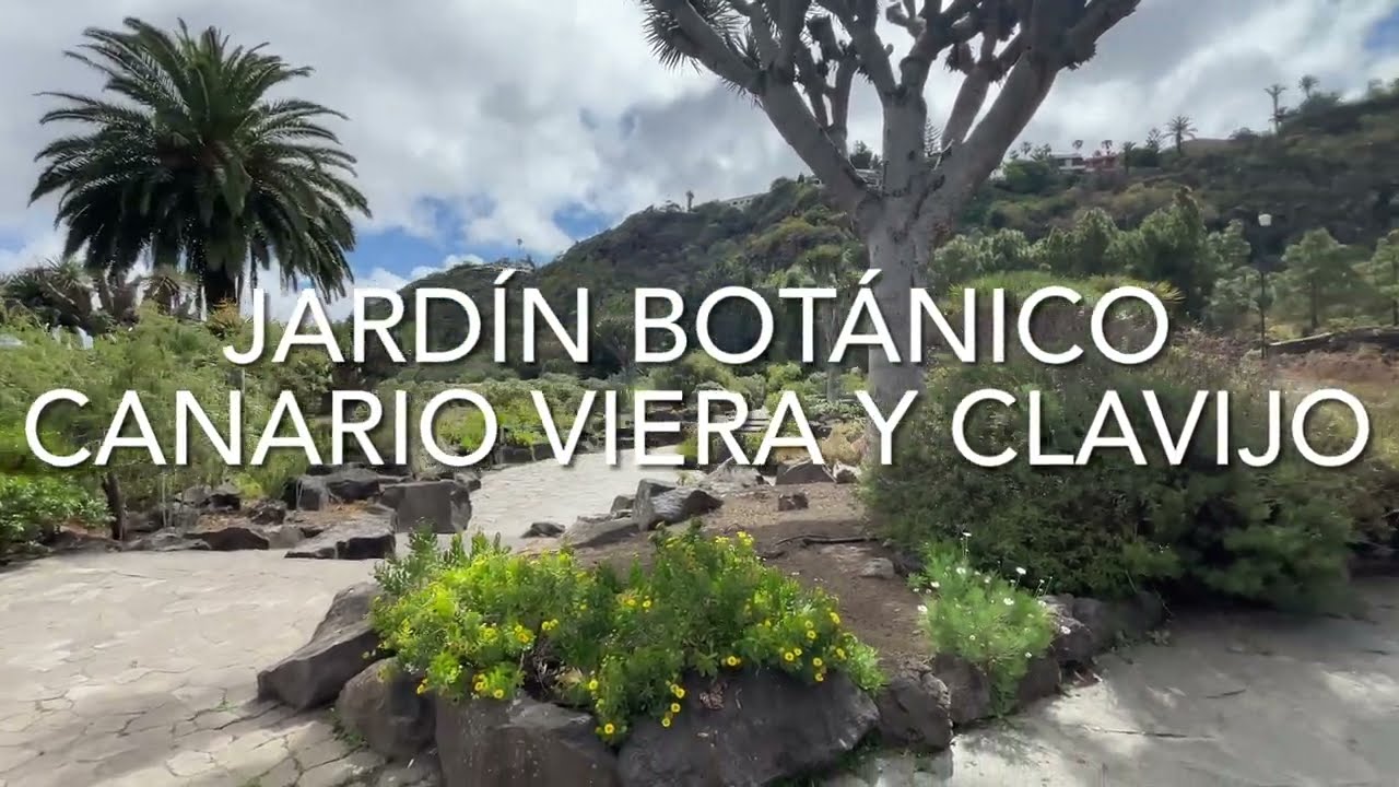 Jardín Botánico Canario Viera y Clavijo, Gran Canaria (4K)