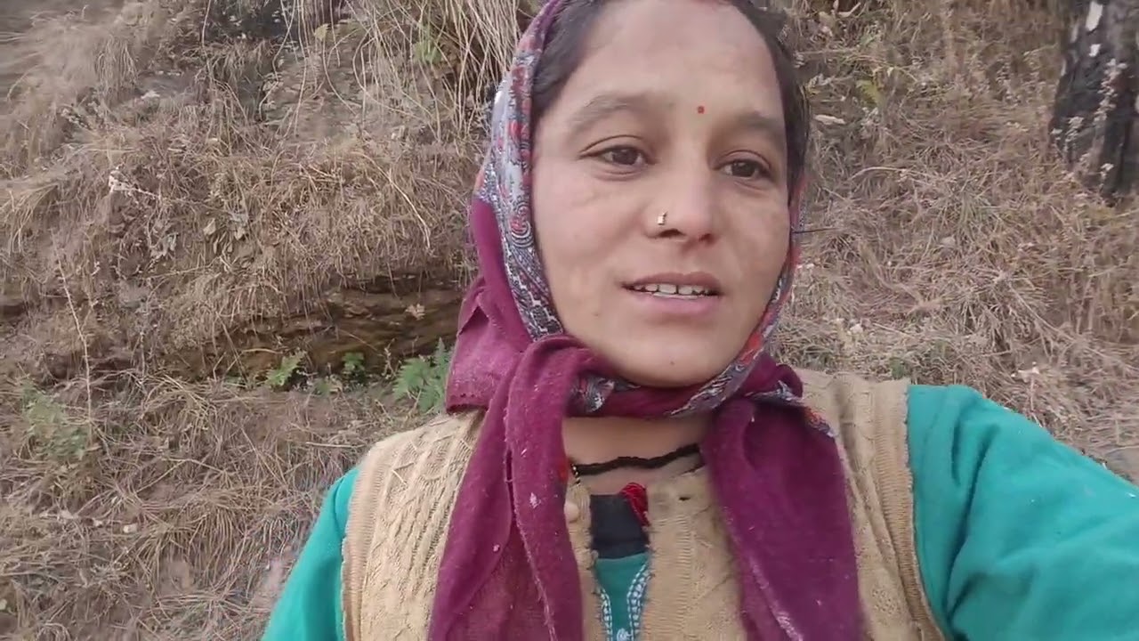 आज भी गए हम जंगल डर लग रहा था बहुत ज्यादा