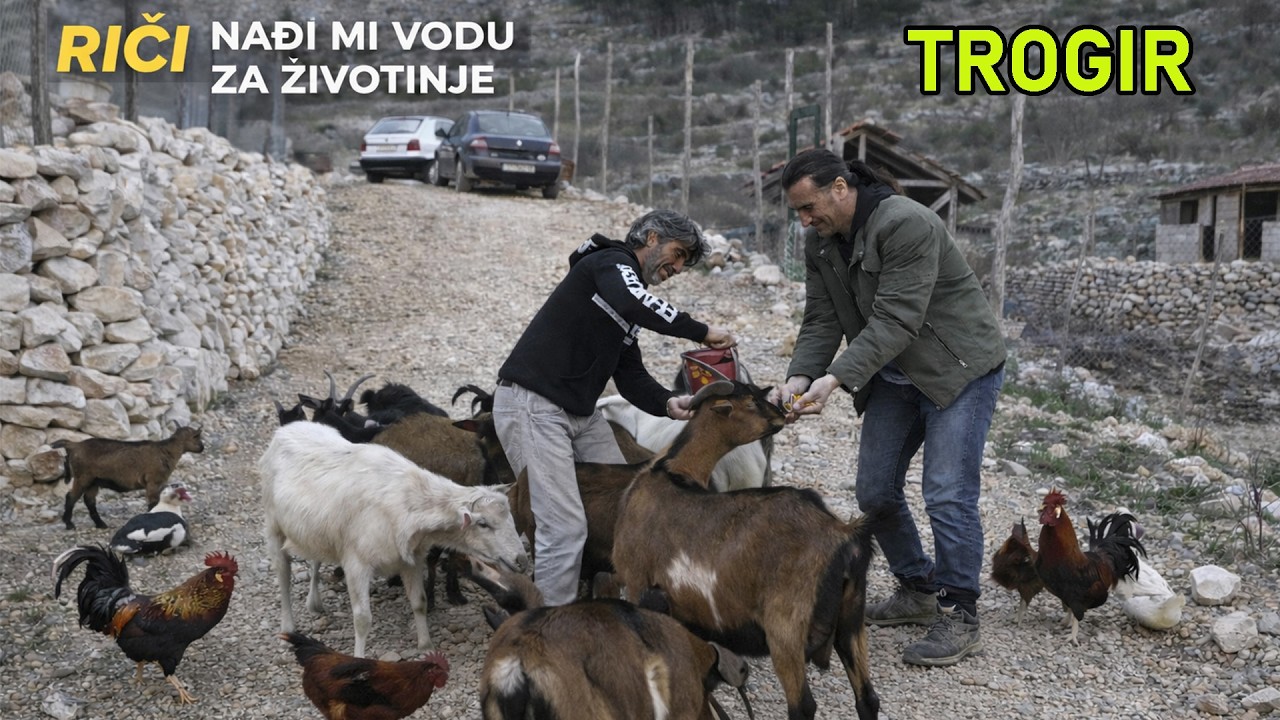 Priča o Ervinu i njegovim životinjama na teritoriji Trogira