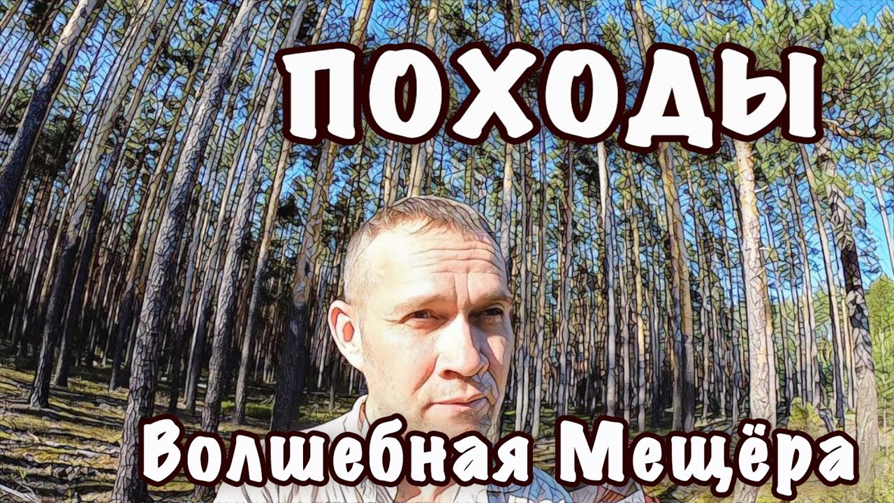 Поход по мещерским лесам.