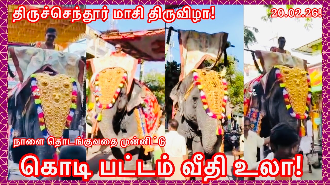 திருச்செந்தூர் மாசி திருவிழா! நாளை தொடங்குவதை முன்னிட்டு கொடி பட்டம் வீதி உலா! 20.02.26!