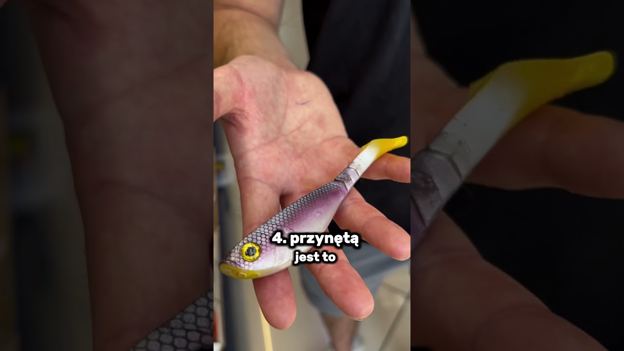 Przynęty sandaczowe top 5