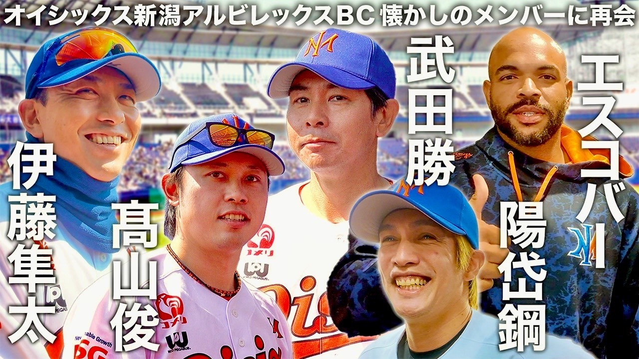 オイシックス新潟アルビレックスBCのホーム開幕シリーズに潜入