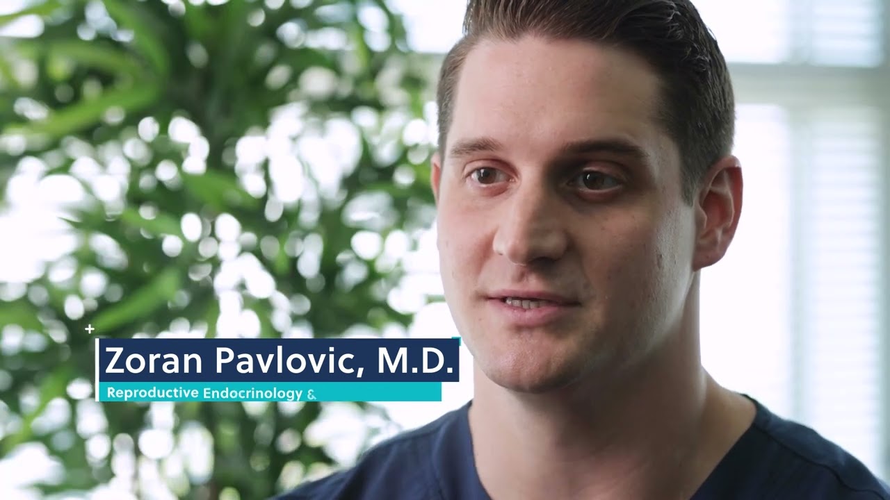 Shady Grove Fertility & University of South Florida REI Fellowship