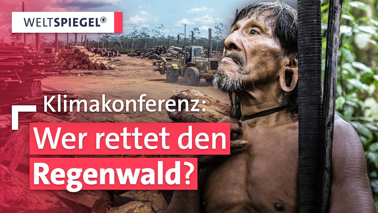 COP30: Kampf gegen Klimawandel und Umweltzerstörung | Weltspiegel