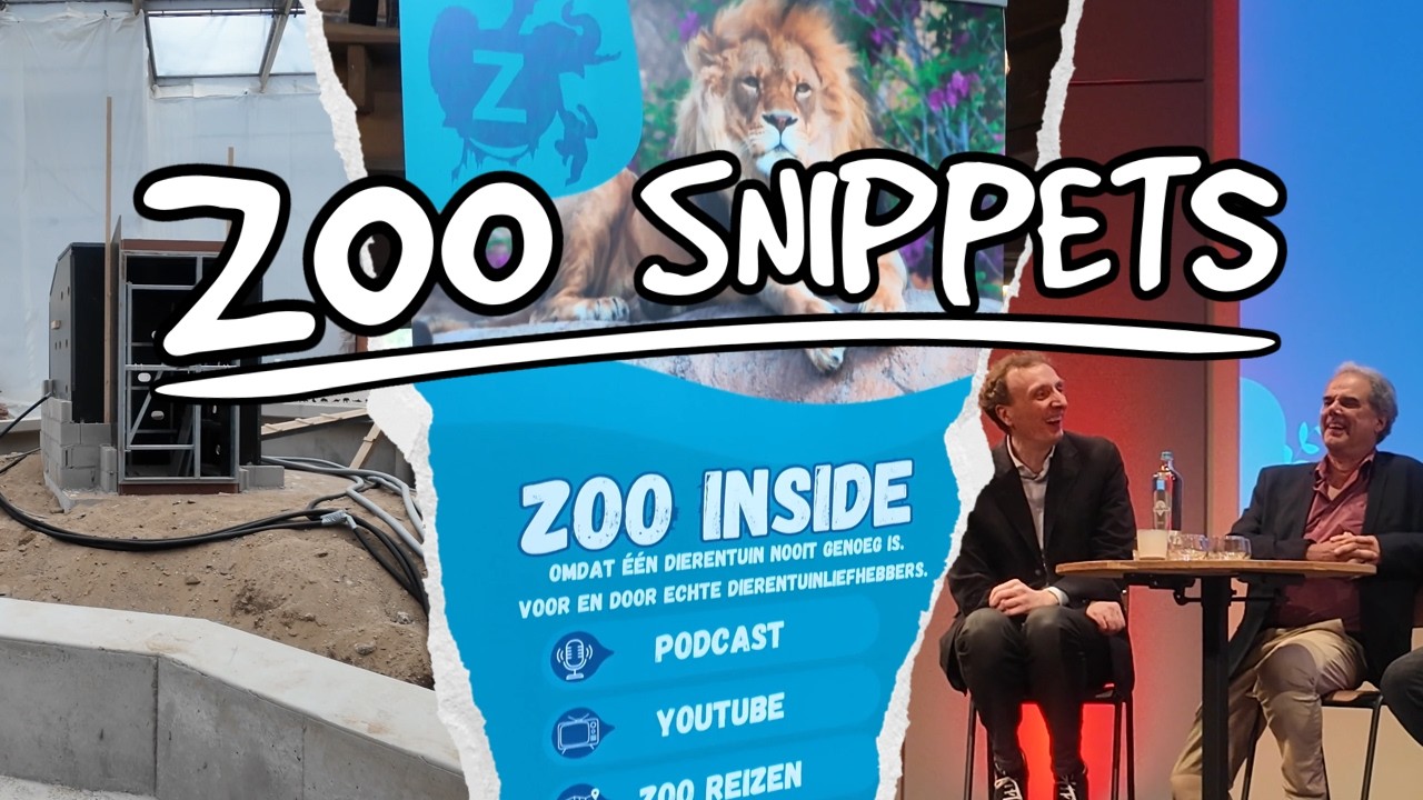 Заглянем за кулисы Burgers' Desert! | Zoo Snippets ✂