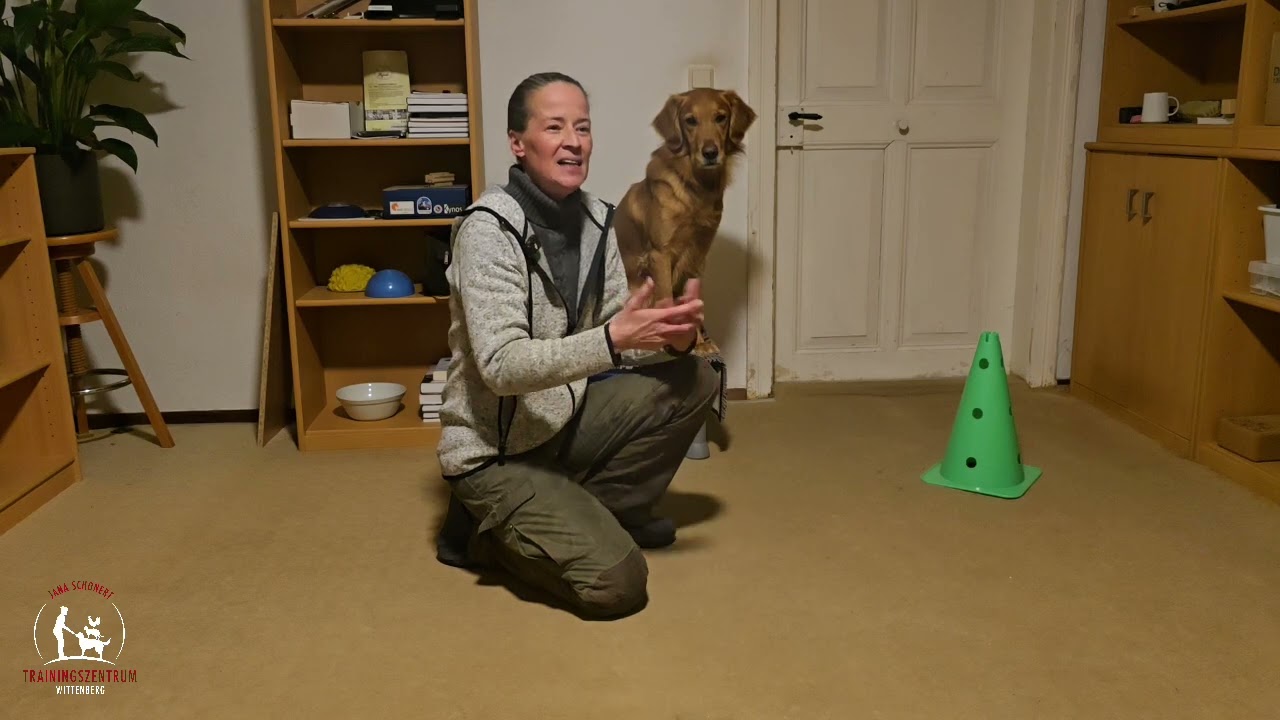 Hundetraining: Verstärker sind nicht einfach nur Kekse 😎