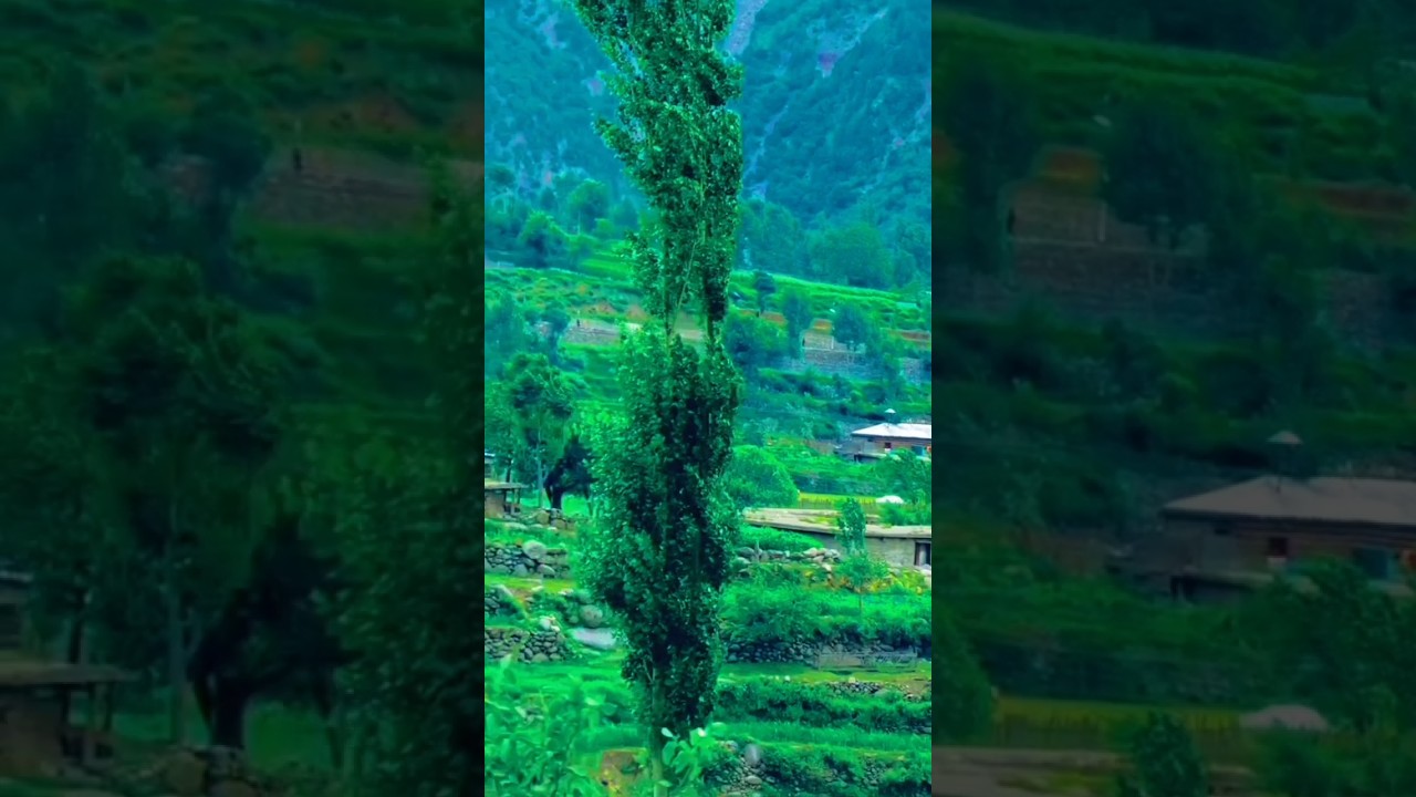 Short visit to upper Dir KPK | Dir upper KPK Pakistan دیر بالا | Dist Dir upper