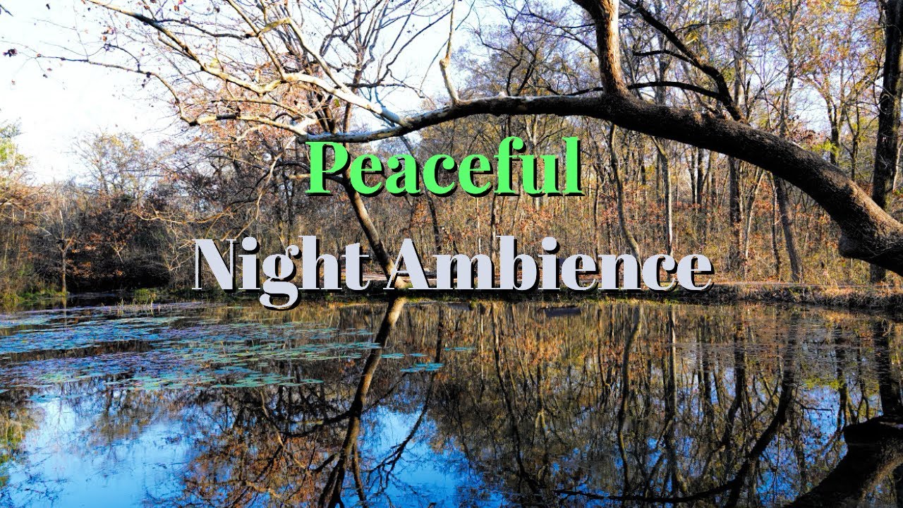8 Hrs Fall Asleep Instantly | Peaceful Night Ambience