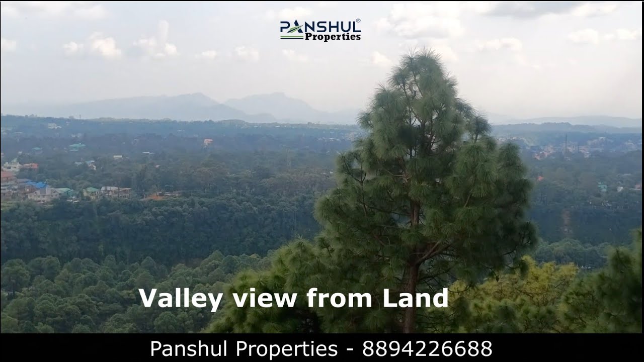 3 Kanal Mountain and Valley view Land for sale  in Saurabh Van Vihar , Palampur ( H.P.) -8894226688