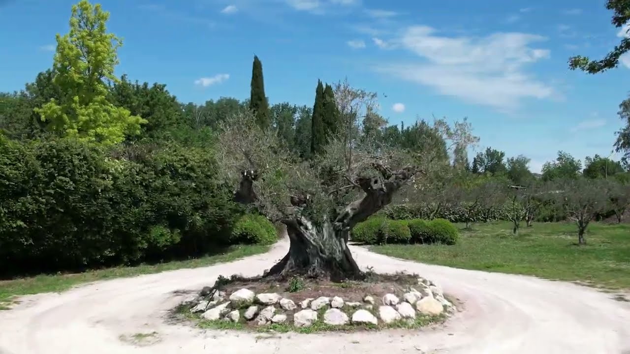 Mas Aigo Claro à Mouriès Vidéo 2022