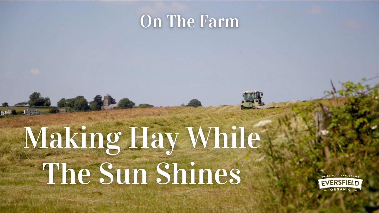 Making Hay on an Organic Farm