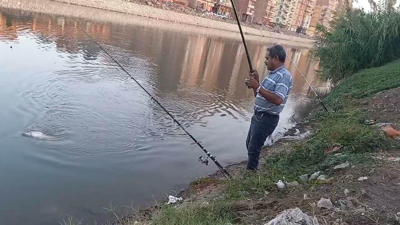 السمكه معانده وقويه فعلا بتكافح