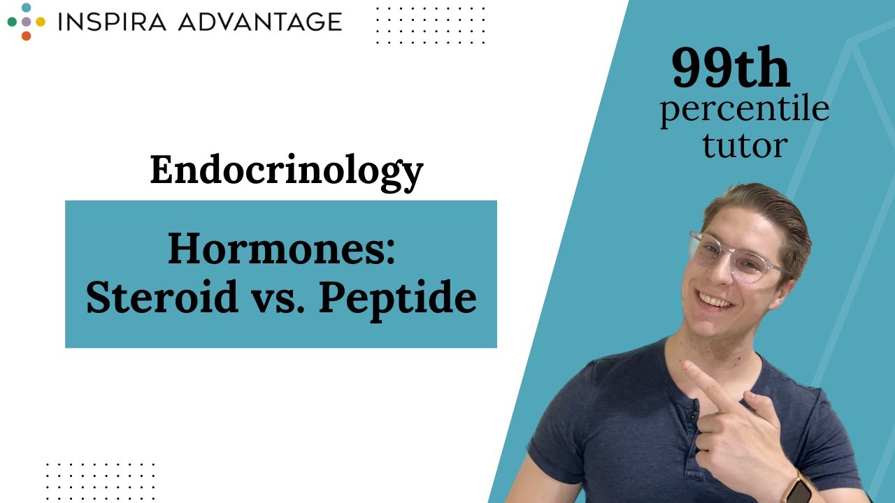 Endocrinology: Hormones - Steroid vs. Peptide | MCAT Crash Course