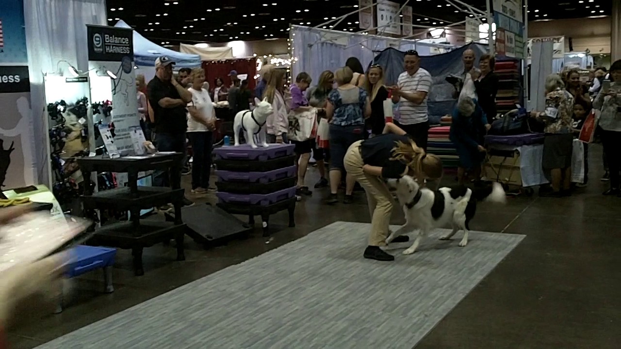 Sara & Hero at the National Dog Show Championships