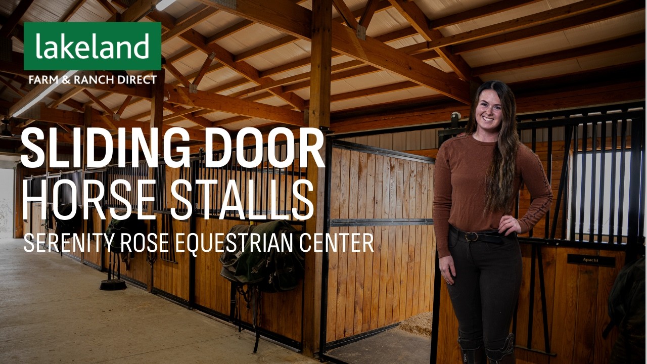 From Vision to Reality: Welcome to Serenity Rose Equestrian Center 🐎💫