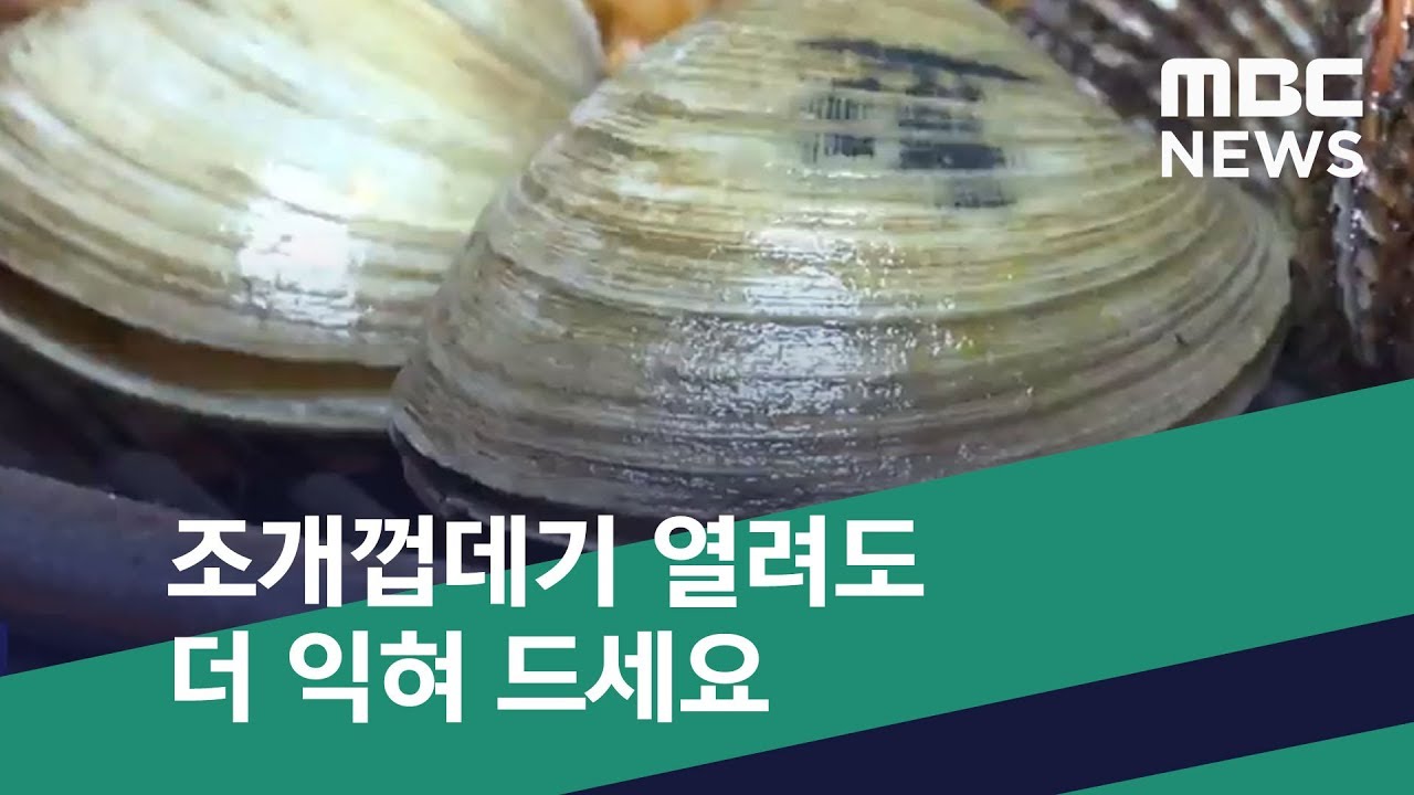 [스마트 리빙] 조개껍데기 열려도 더 익혀 드세요 (2019.04.20/뉴스투데이/MBC)
