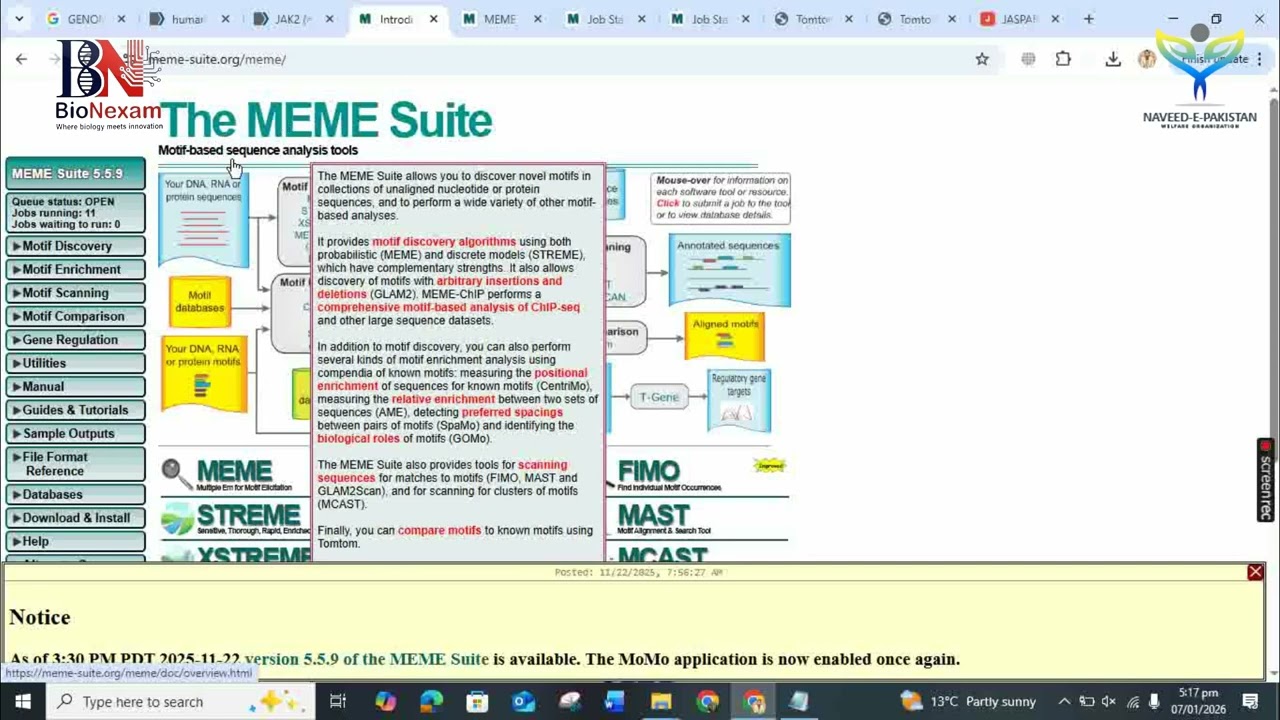How to Find Transcription Factor Binding Sites in a Genome | Lecture 454 | Dr. Muhammad Naveed