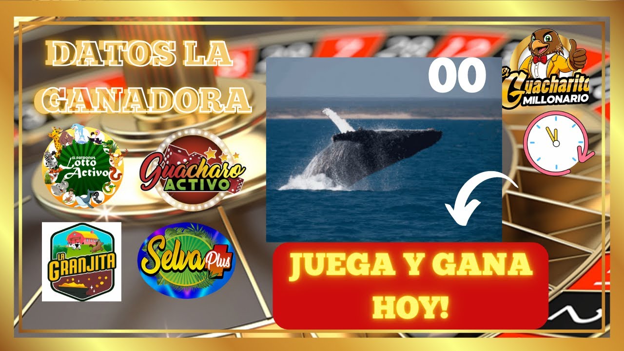 Tus Datos Gratis para hoy Viernes 06/02/2026 Lotto activo Granjita  Selva  Gu&aacute;charo   LA GANADORA