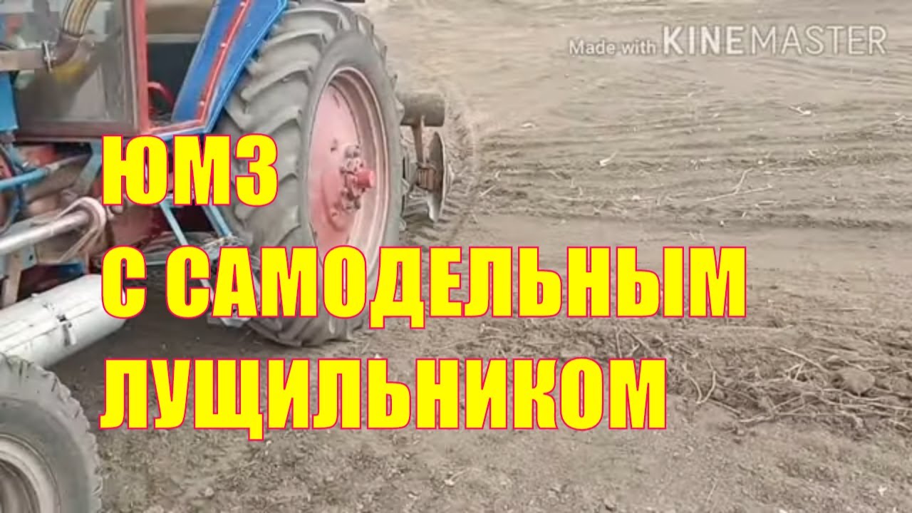 Трактор ЮМЗ с самодельным лущильником!