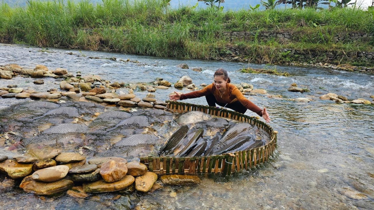 Full video of a girl catching fish in a stream for 30 days using unique fishing methods.