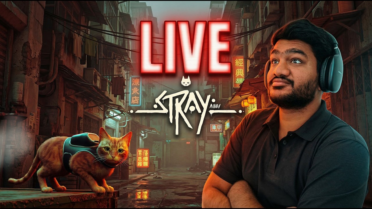 🐱Kaya Bagad Billa Upar Phoch Payega ?| Stray LIVE Gameplay | Cosmic Jack