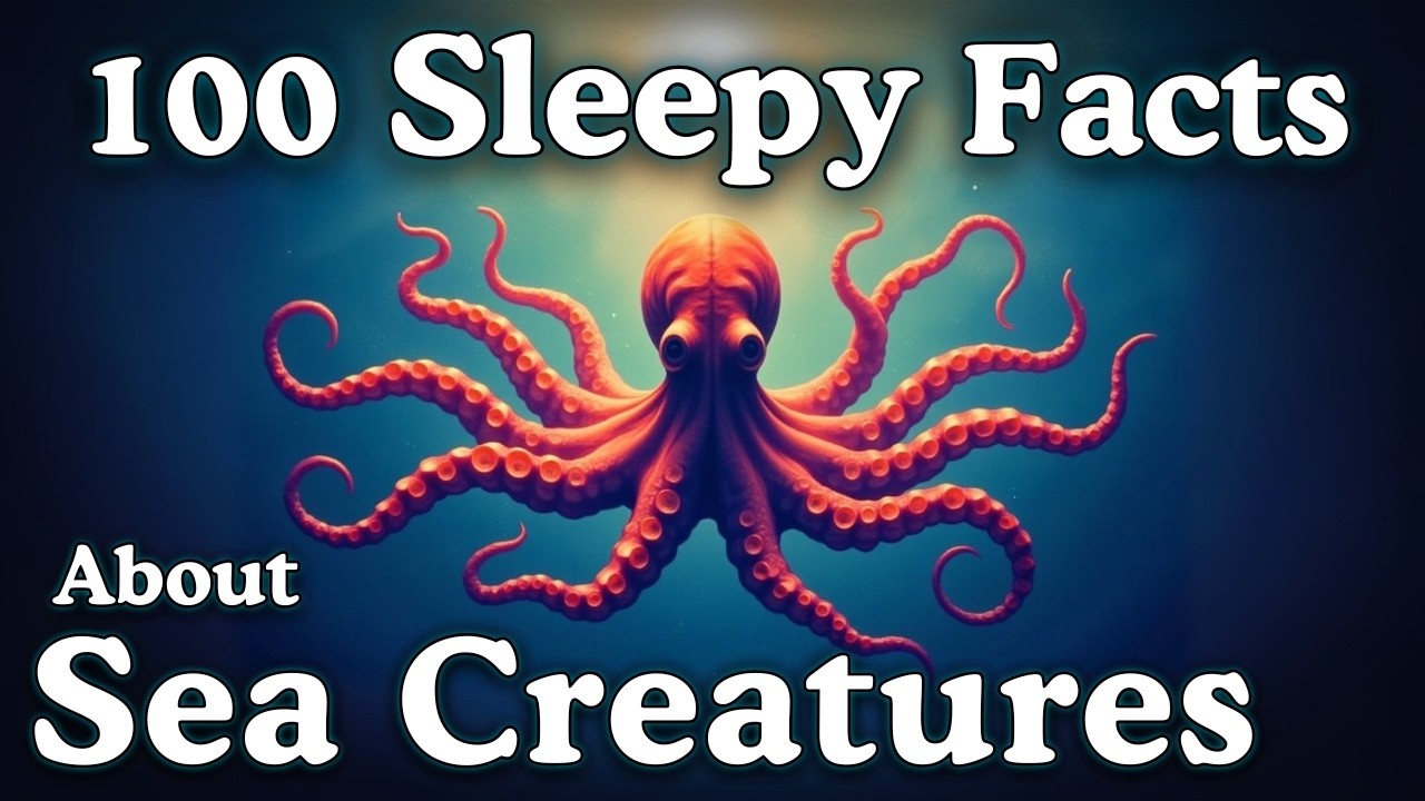 The Most Relaxing Facts About Sea Creatures to Fall Asleep To
