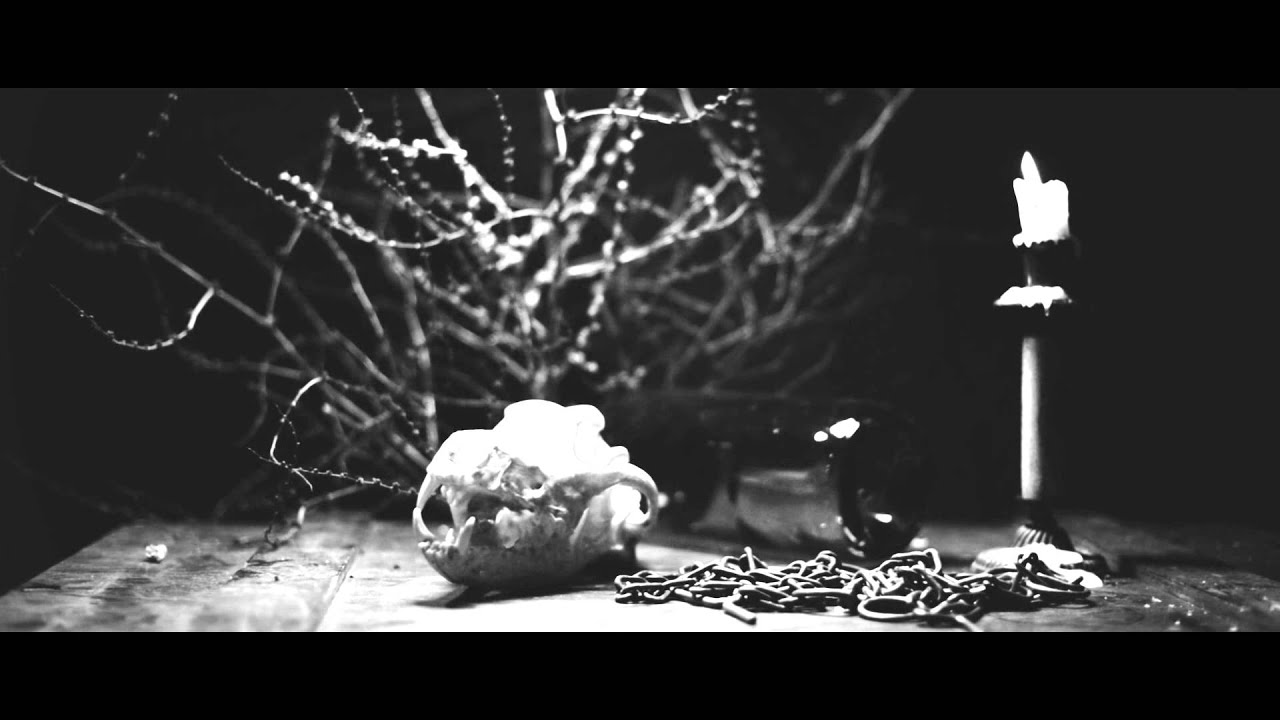 İndigo - Sokak Köpeği (Video Klip)