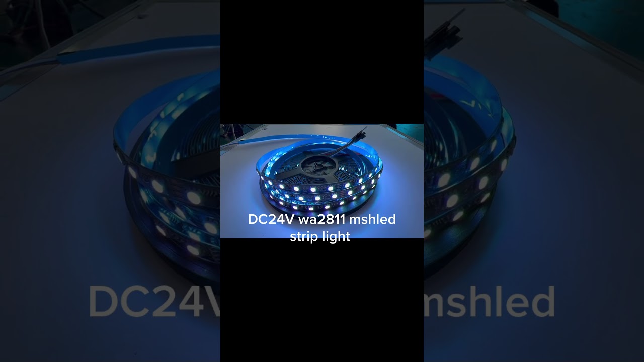 #WS2811 DC24V 64LED/m #Addressable RGB #LED #Strip #Light | Smooth Lighting Effects Test #mshled