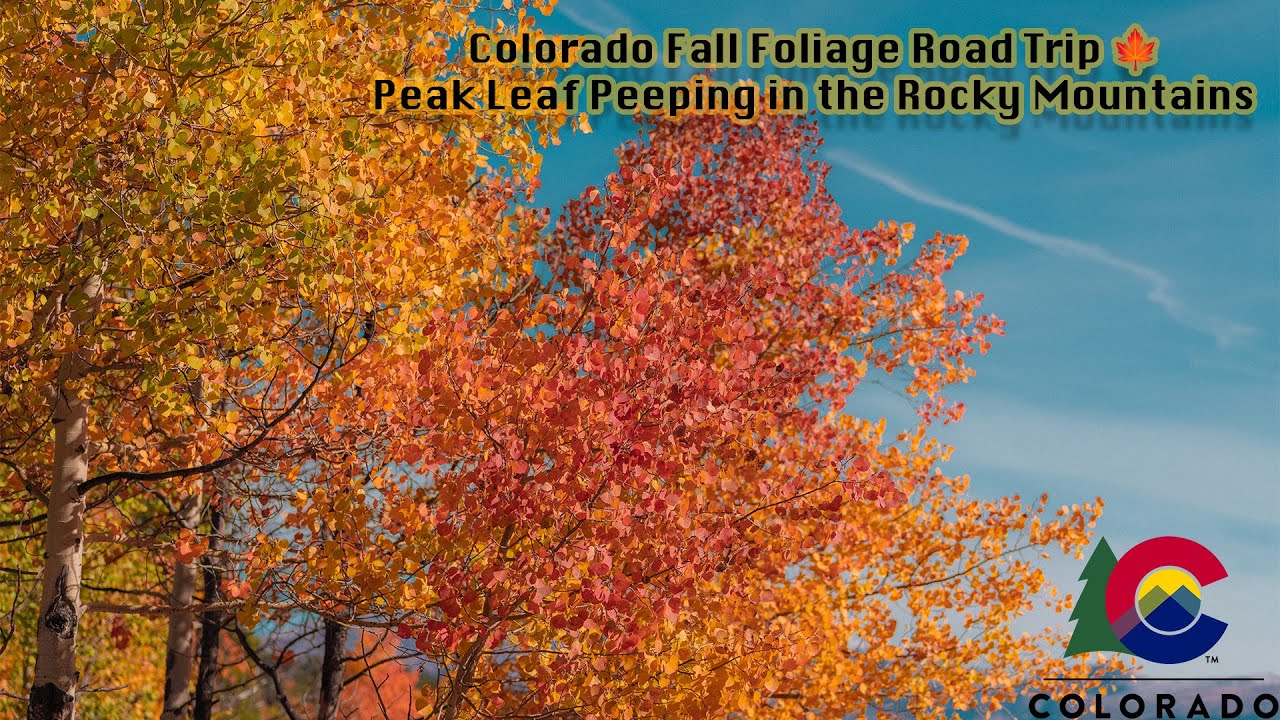 Colorado Fall Foliage Road Trip 🍁 Peak Leaf Peeping in the Rocky Mountains
