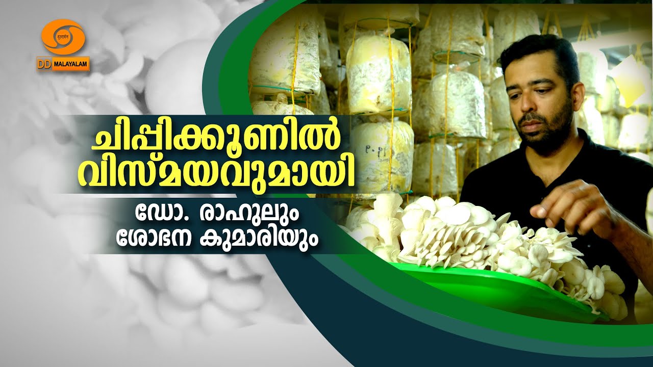 ചിപ്പിക്കൂണിൽ വിസ്മയവുമായി ഡോ: രാഹുലും ശോഭനകുമാരിയും