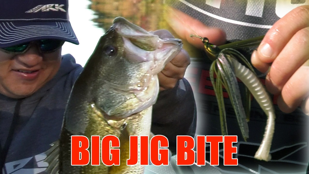 Upgrade Your Jig Game: Must-Try ARK Jigs!