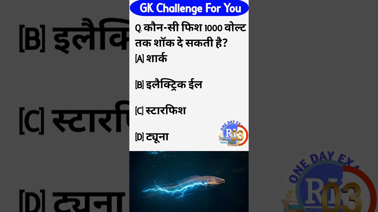 Gk |gk question |general knowledge |one day exam gk |gk in hindi |#one day exam 📖✍️