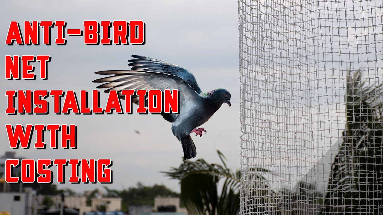 Anti Bird Net Installation | Balcony Safety Net | Installation and Price