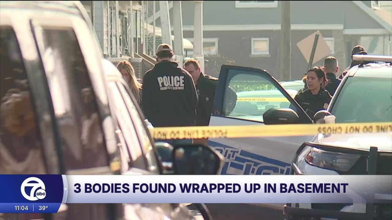 3 bodies found wrapped up in Detroit basement, sources say