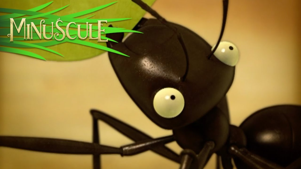 Minuscule - le chant des cigales/Cicada song (Season 1)