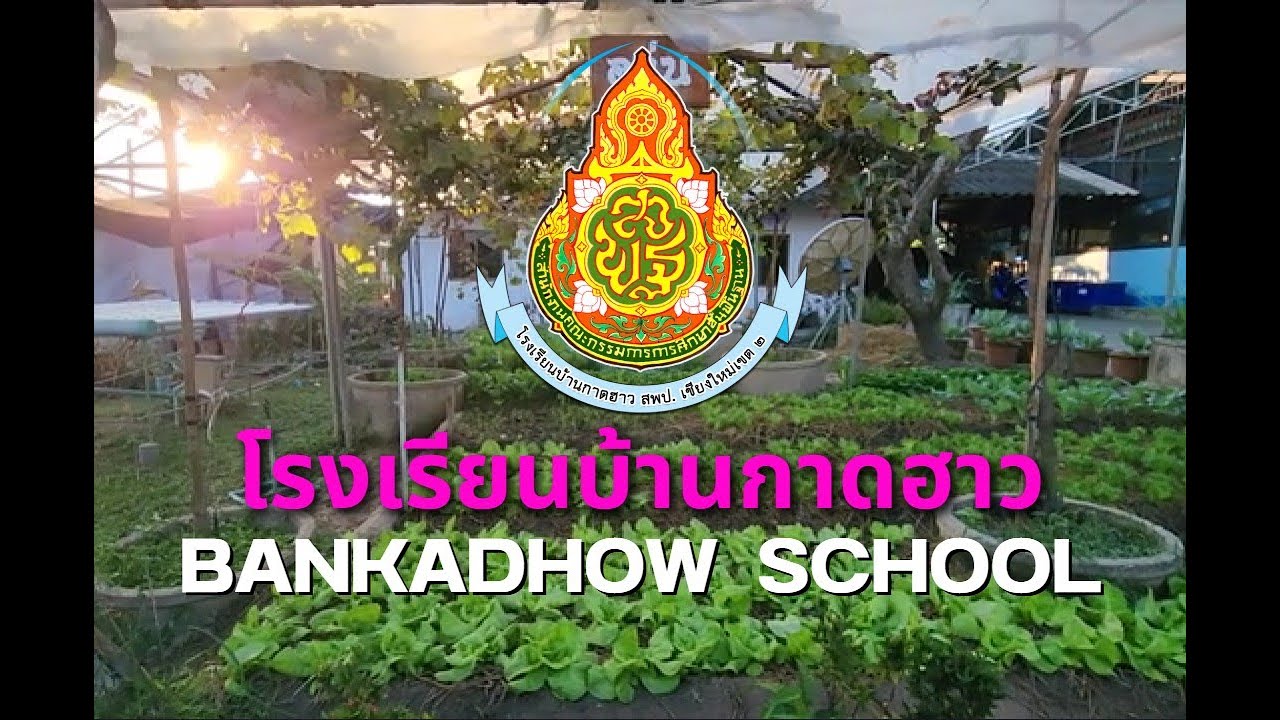 โรงเรียนบ้านกาดฮาว สพป.เชียงใหม่ เขต 2
