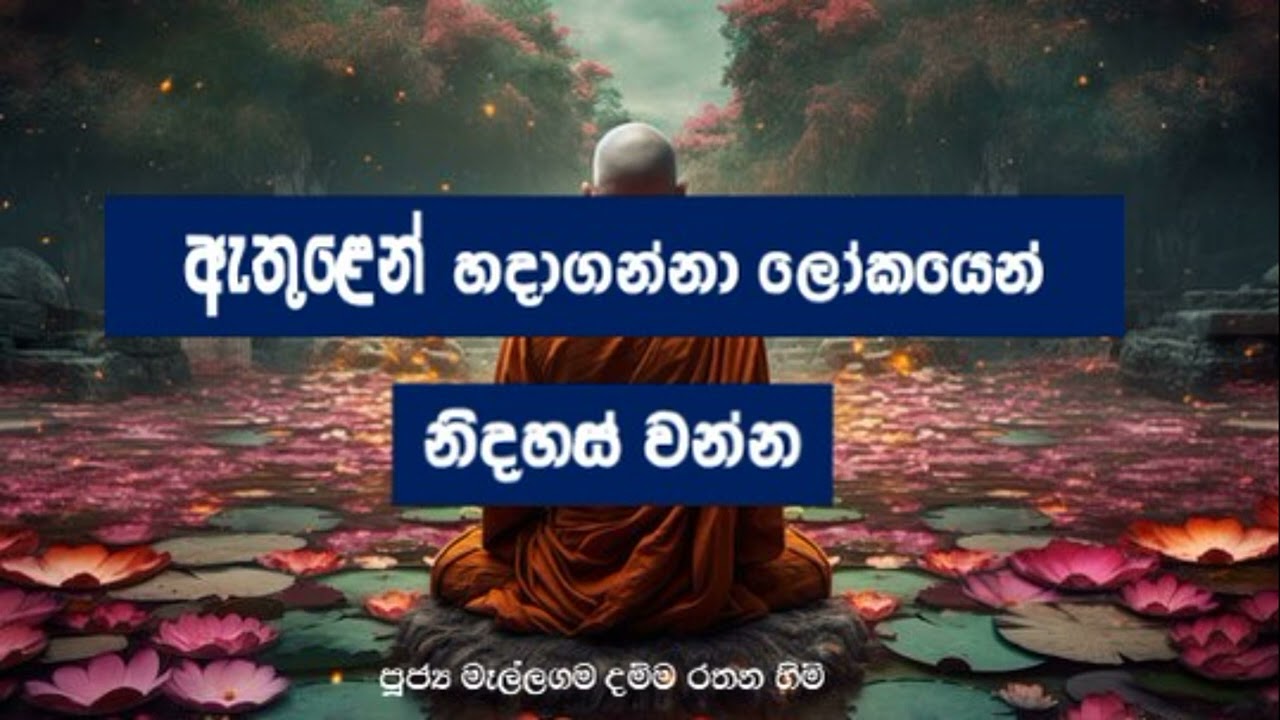 ඇතුළෙන් හදාගන්නා ලෝකයෙන් නිදහස් වන්න